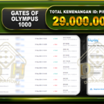 Gates Of Olympus 1000 29.000.000