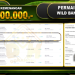 WILD BANDITO Rp.11.000.000
