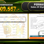 Gates Of Olympus 1000 Rp 11.009.557