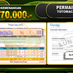TOGEL TOTOMACAU 5D Rp 29.670.000