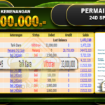 24D Spin Rp.33.000.000