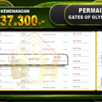 Gates Of Olympus Rp.11.937.300