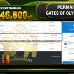 GATES OF OLYMPUS 1000 RP 20.246.800