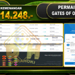 GATES OF OLYMPUS RP 10.914.248