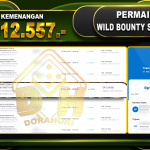 WILD BOUNTY SHOWDOWN